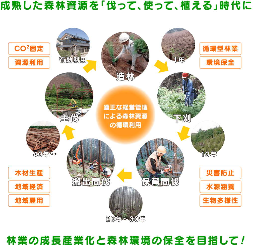 
						林業の成長産業化と森林環境の保全を目指して