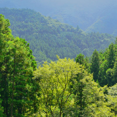 デフォルト画像